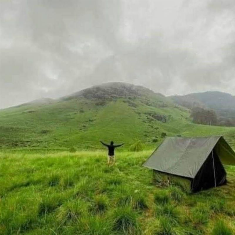 Haritha Kanda (Bo Paththalawa)