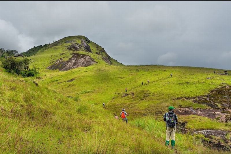 Haritha Kanda (Bo Paththalawa)