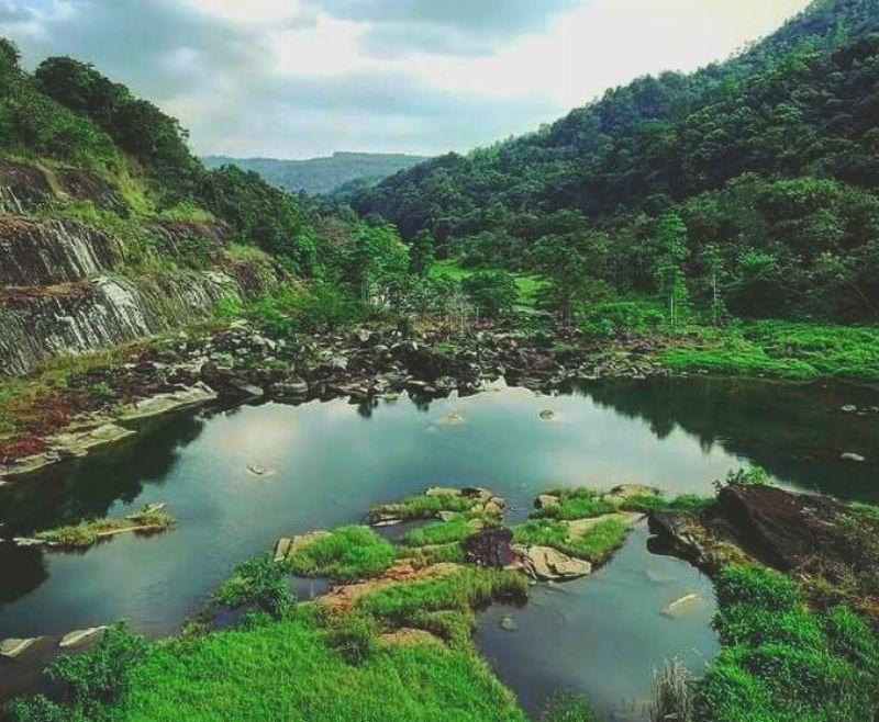 Haritha Kanda (Bo Paththalawa)