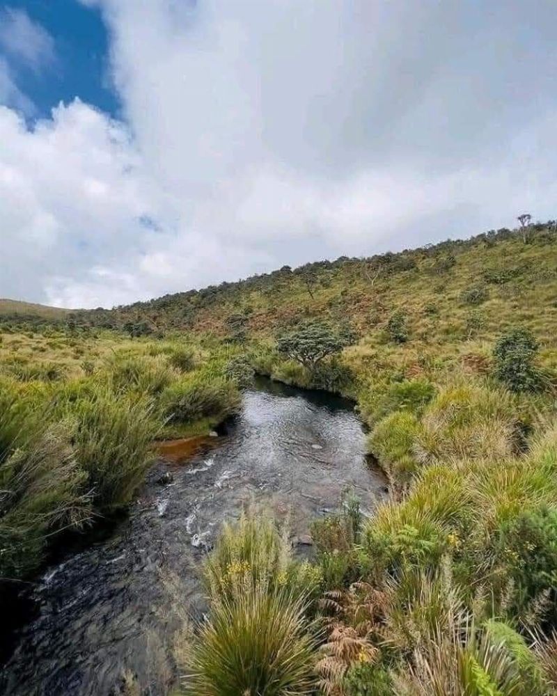 Horton Plains